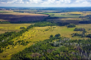 Лісостеп Лісостеп